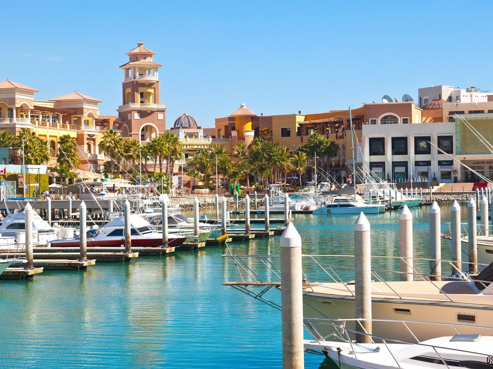 Los Cabos