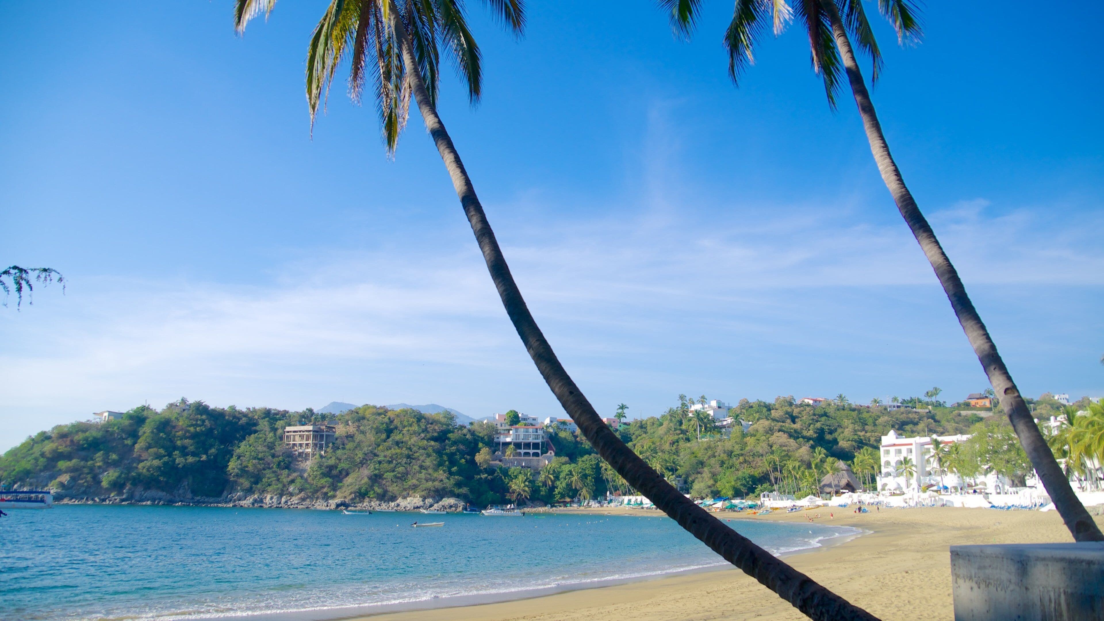 Manzanillo