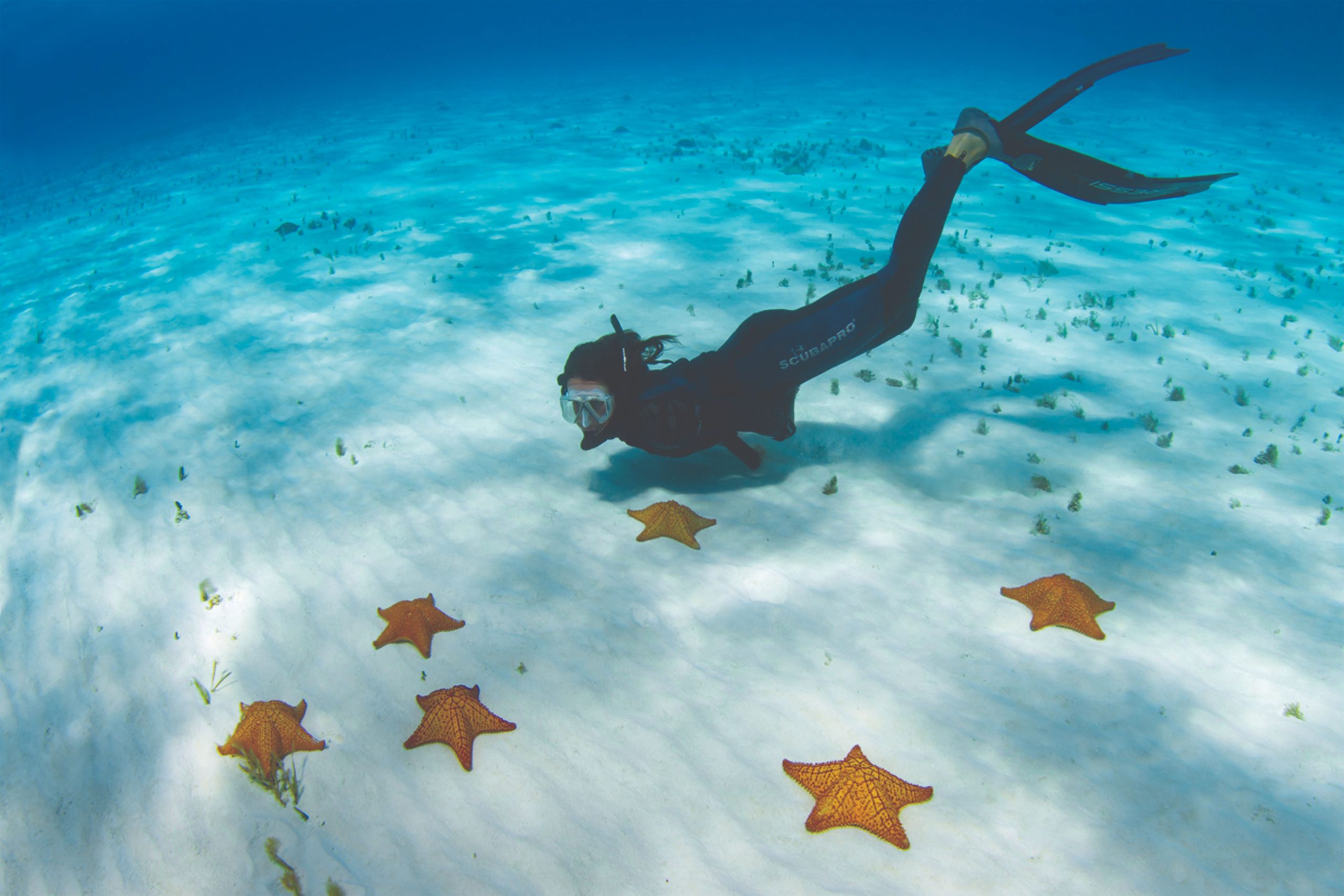 Cozumel
