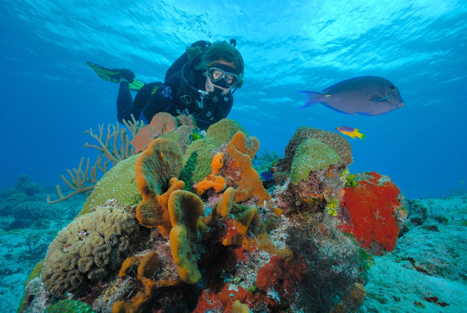 Cozumel